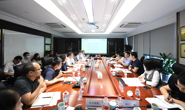 省能源局在云顶集团股份召开浙江省风电工业链生长课题启动会